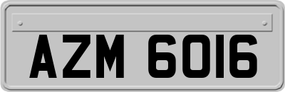 AZM6016