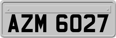 AZM6027