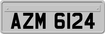 AZM6124