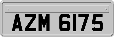 AZM6175