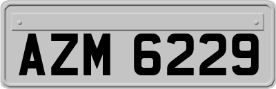 AZM6229