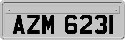 AZM6231