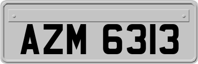 AZM6313
