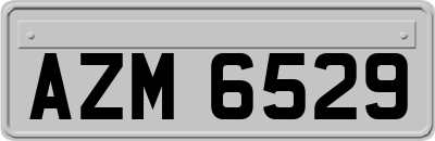 AZM6529