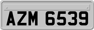 AZM6539