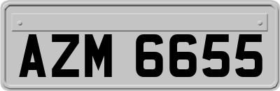 AZM6655
