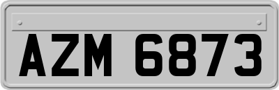 AZM6873