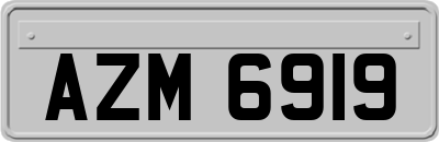 AZM6919