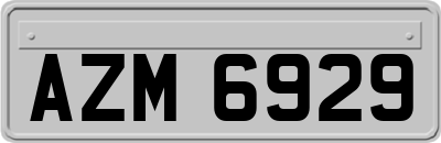 AZM6929