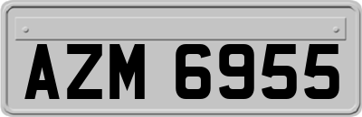 AZM6955