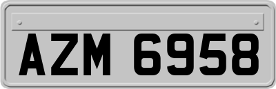 AZM6958
