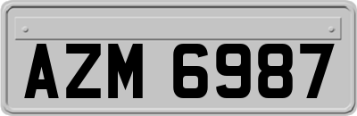 AZM6987