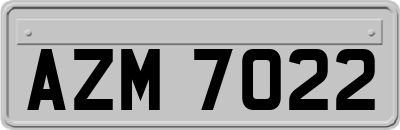 AZM7022