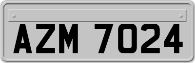 AZM7024
