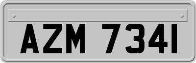 AZM7341