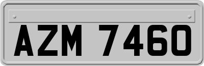 AZM7460