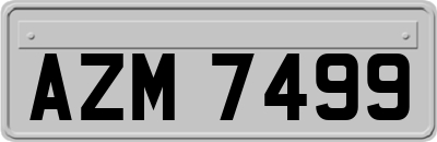 AZM7499