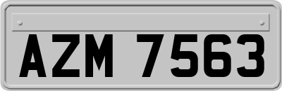 AZM7563
