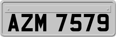 AZM7579