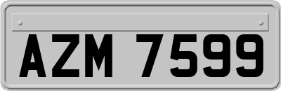 AZM7599