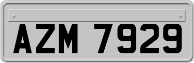 AZM7929