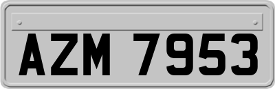 AZM7953