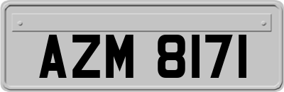 AZM8171