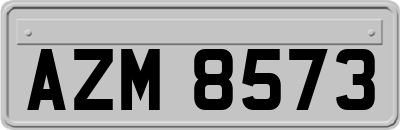 AZM8573