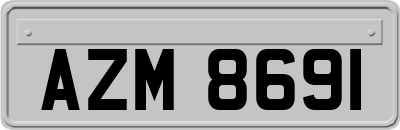 AZM8691