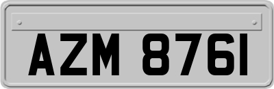 AZM8761