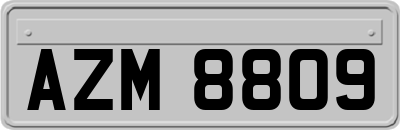 AZM8809
