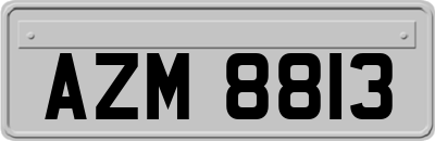 AZM8813