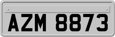 AZM8873