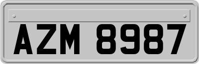 AZM8987