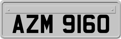 AZM9160