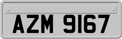 AZM9167