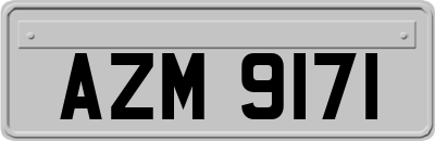 AZM9171