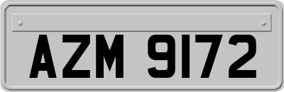 AZM9172