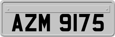AZM9175