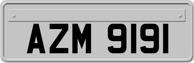 AZM9191