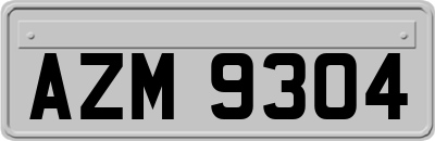 AZM9304