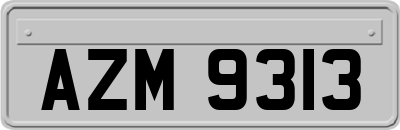 AZM9313