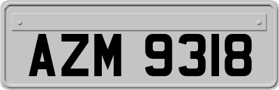 AZM9318
