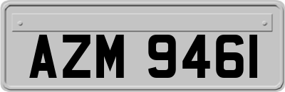 AZM9461