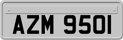 AZM9501
