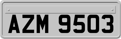 AZM9503
