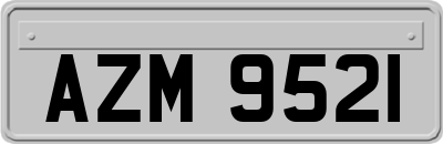 AZM9521