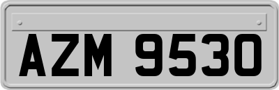 AZM9530