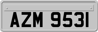 AZM9531