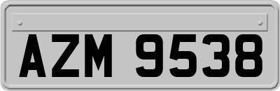 AZM9538